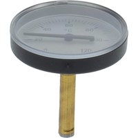 Bosch Thermometer blau 8738212798