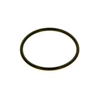 Bosch O-Ring Armatur V44 8718584784