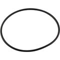 Bosch O-Ring Filter D95mm 7098652