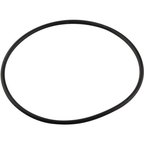Bosch O-Ring Filter D95mm 7098652