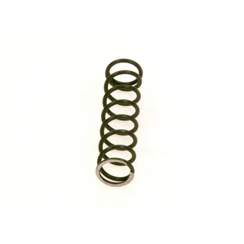 BO Druckfeder DIN2098 1,6x12,5x53,5 everp., 8718584655