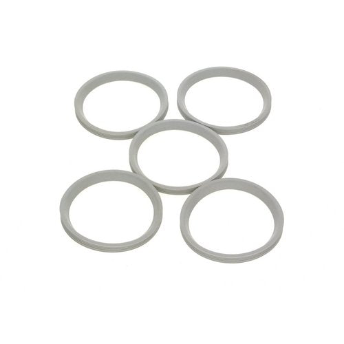 Bosch Lippendichtung DN80 PerOxyd, grau 54915536