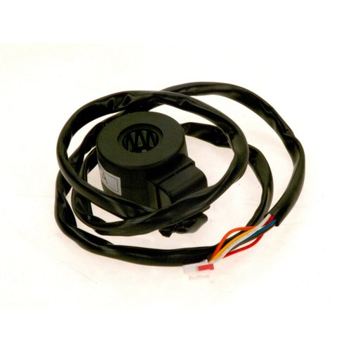 Bosch Spule EEV 8738206820
