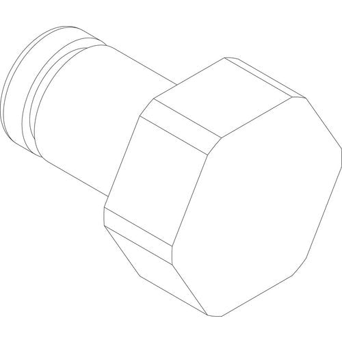 Bosch Bolzen für Scharniere 8738211436