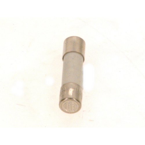 Bosch Sicherung 250mA everp., 8738803394 (MVP 10 St.), je MVP