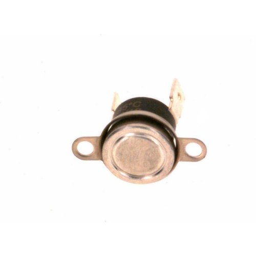 Bosch Abgasüberwachung 87199281400