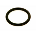 Bosch O-Ring Set für Gasventil 7100122