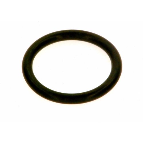 Bosch O-Ring Set für Gasventil 7100122