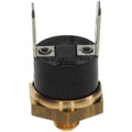 Bosch Temperaturbegrenzer 8738901741