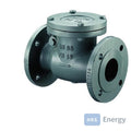 Bosch Installationszubehör RK16-65 Rückschlagklappe PN 16 DN65 – 7736602678