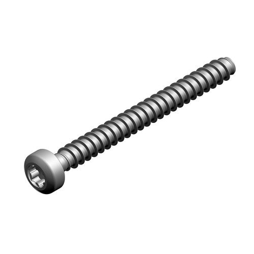 Bosch Schraube M 35 x 35 7736700683 (MVP 2 Stück), je MVP