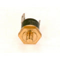 Bosch Temperaturbegrenzer 87379033990