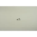Bosch Schraube + Sicherungsring 8738901744 (MVP 2 Stück), je MVP