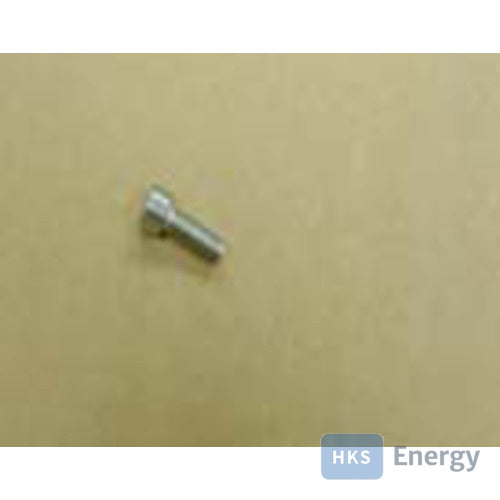 Remeha Bolzen M6 x 16, 22222