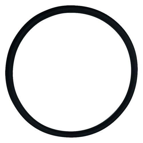 MHG O-Ring 68x4 für Mutter Abgasrohr ecoGAS